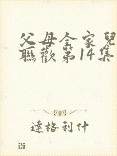 父母全家儿女大联欢第14集封面