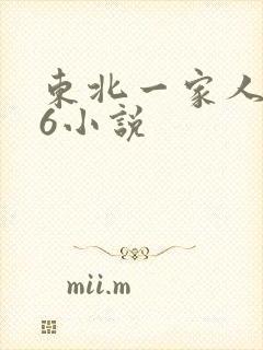 东北一家人1一6小说