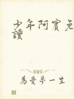 少年阿宾免费阅读