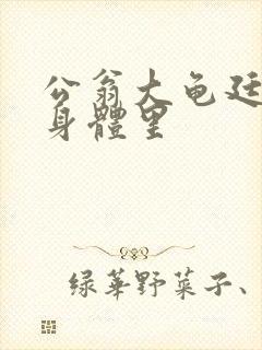 公翁大龟廷进我身体里