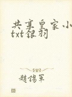 共享皇家小公主txt银羽