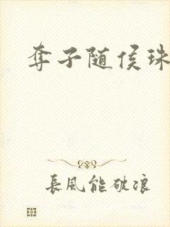 夺子随侯珠封面