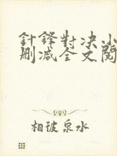 针锋对决小说未删减全文阅读