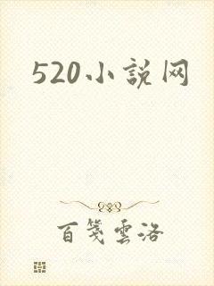 520小说网