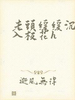 老头缓缓沉腰进入校花h