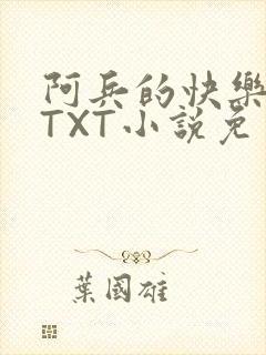 阿兵的快乐生活TXT小说免费阅读全章