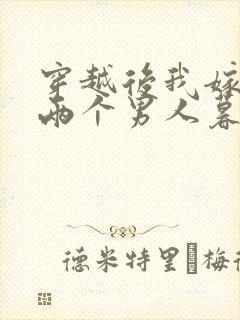 穿越后我嫁给了两个男人暮色酒歌