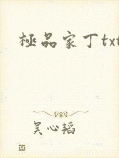 极品家丁txt