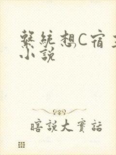 系统想C宿主的小说