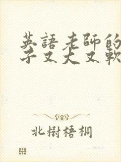 英语老师的小兔子又大又软