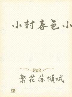 小村春色小说