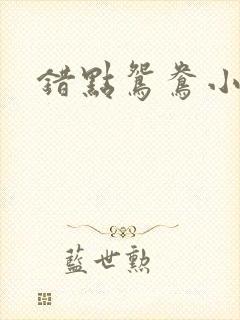 错点鸳鸯小说