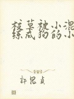 校草被小混混训练成狗的小说