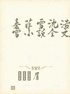 秦菲雪沈浩秦菲雪小说全文免费阅读求书