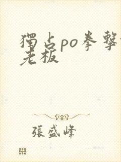 独占po拳击馆老板