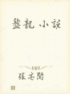 盘龙 小说
