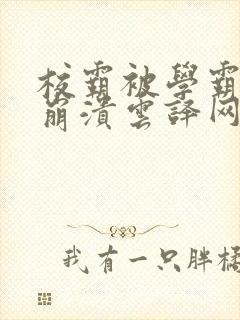 校霸被学霸玩到崩溃云译网