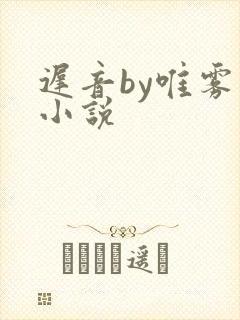 迟音by唯雾的小说