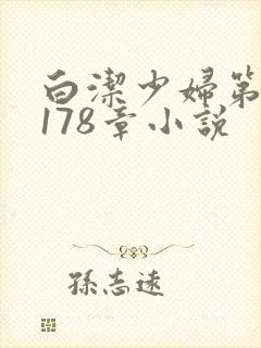 白洁少妇第1一178章小说封面
