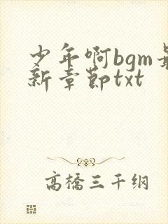 少年啊bgm最新章节txt