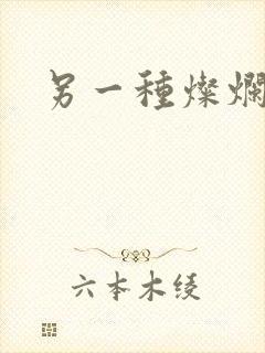 另一种灿烂生活