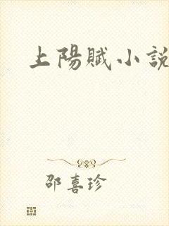 上阳赋小说封面