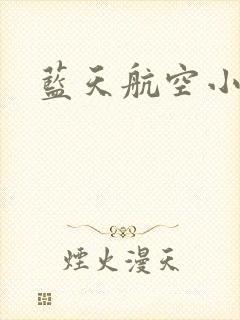 蓝天航空小说