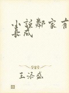 小说邻家有女初长成封面