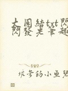 大团结txt闪闪发光笔趣阁封面