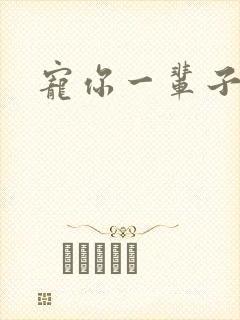 宠你一辈子封面