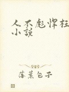 人不彪悍枉少年小说封面