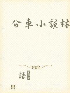 公车小说林蔓蔓封面