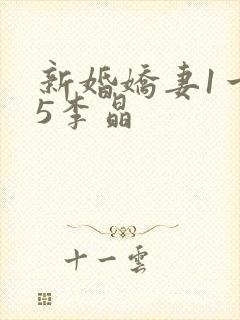 新婚娇妻1一25李晶封面