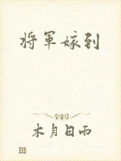 将军嫁到