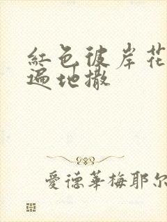 红色彼岸花花瓣遍地撒封面