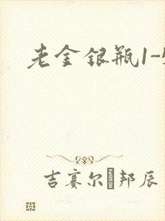 老金银瓶1-5封面