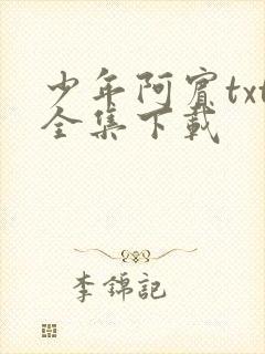 少年阿宾txt全集下载