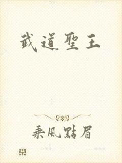 武道圣王