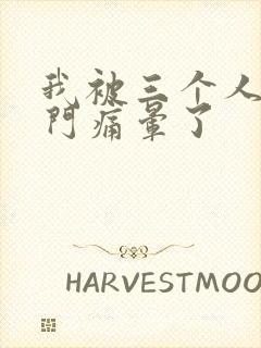 我被三个人开三门痛晕了