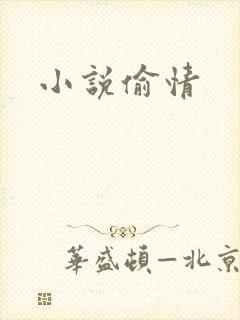 小说偷情