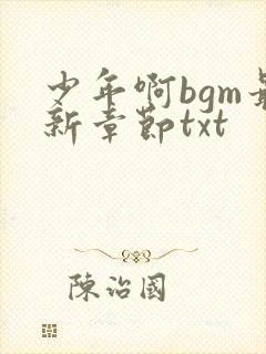 少年啊bgm最新章节txt