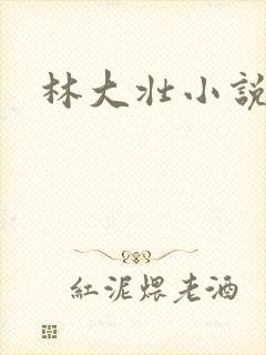 林大壮小说阅读