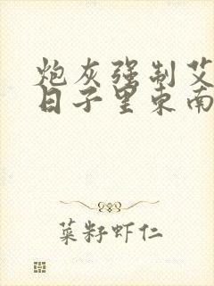 炮灰强制艾草的日子里东南枝小说封面