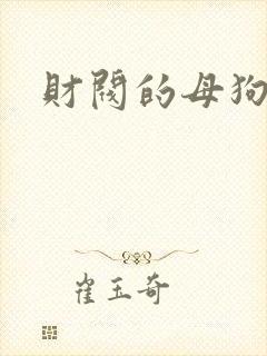 财阀的母狗们封面