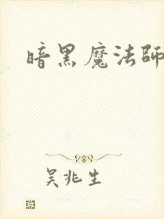 暗黑魔法师封面