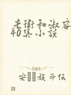 老卫和淑容1-40集小说