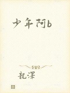 少年阿b封面