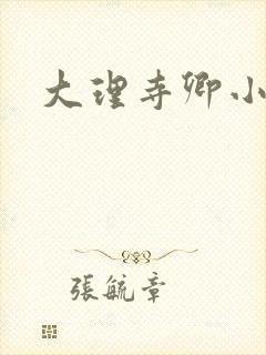 大理寺卿小说封面