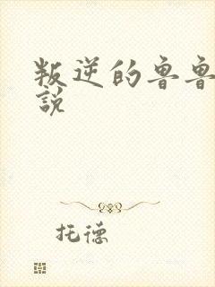 叛逆的鲁鲁修小说