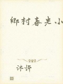 乡村春光小说封面
